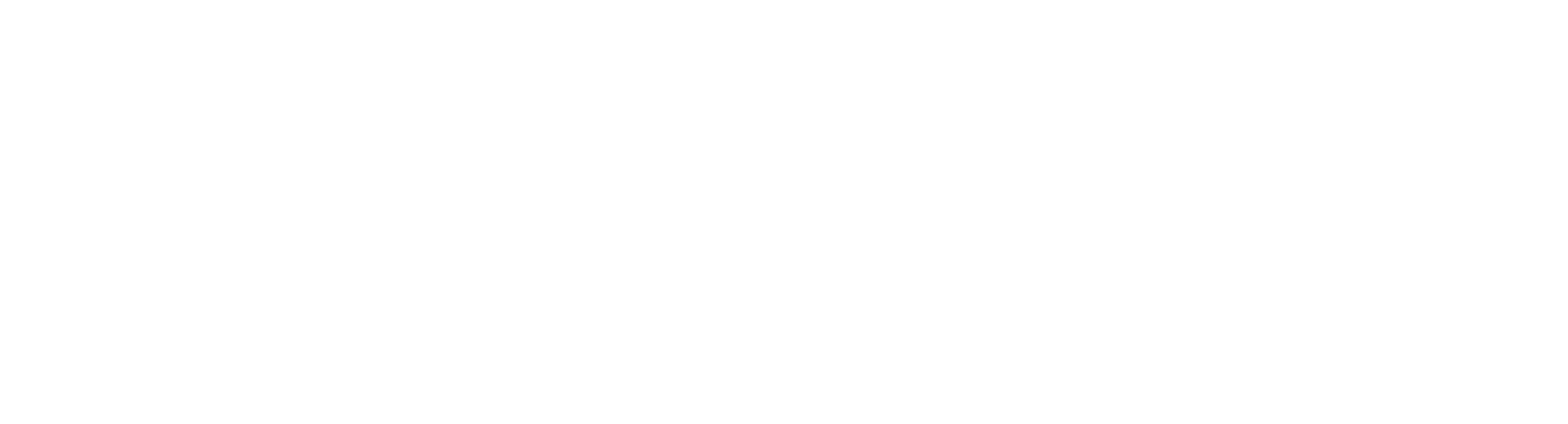 Wire Works LLC logo white version 01